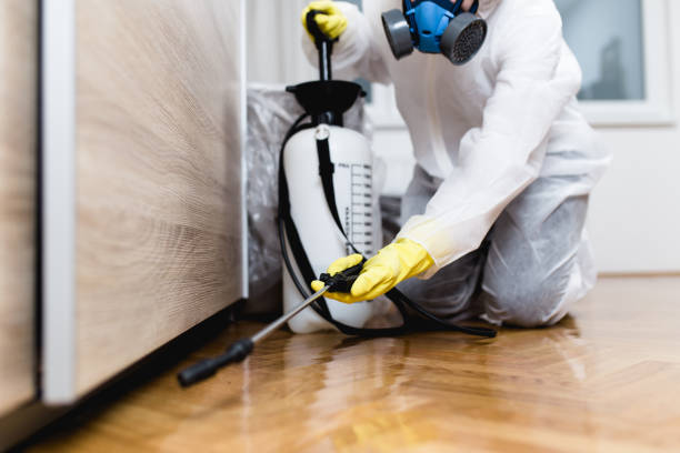 Best Mosquito Control Services  in Fall Creek, WI