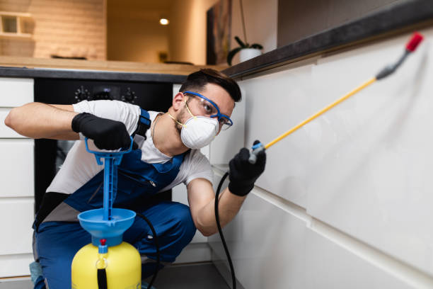 Best Best Pest Control Companies  in Fall Creek, WI
