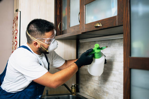 Best Rat Extermination Near Me  in Fall Creek, WI