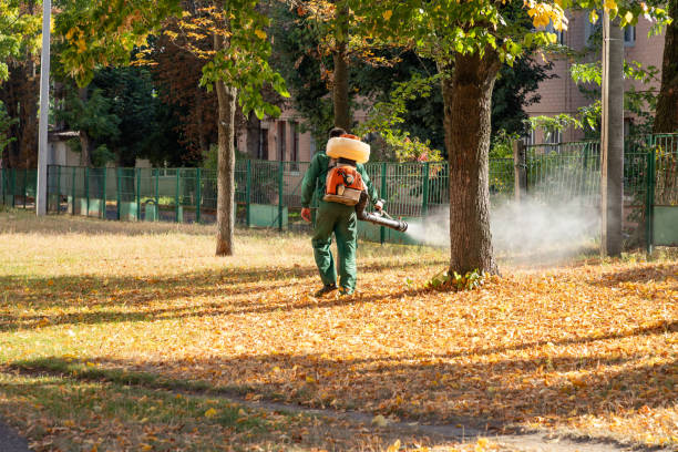 Best Cockroach Control Services  in Fall Creek, WI