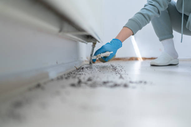 Professional Pest Control in Fall Creek, WI